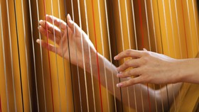 Musik Klasik Bukan Dominasi Dewasa