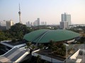 Bau Politik di Balik Perlawanan Vaksin Nusantara