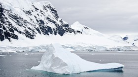 Menantang Maut Berenang di Suhu Minus 30 Derajat Celsius