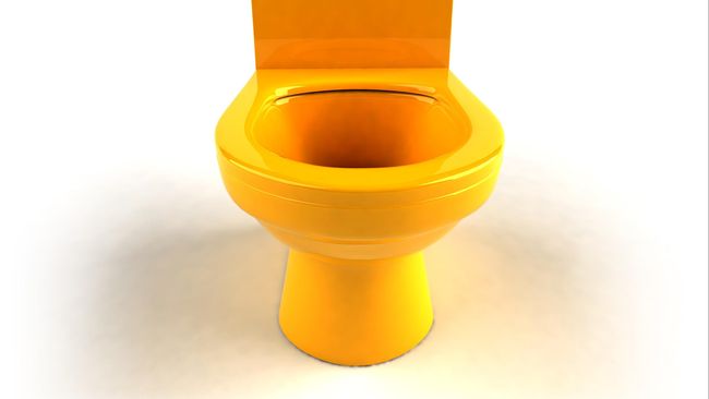 Dalam pameran&nbsp;Toilets: Evolution or Revolution&nbsp;di London Design Festival, Penner banyak mengkritik desain-desain toilet yang tengah berkembang saat ini.