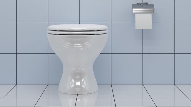 Tanggal 19 November diperingati sebagai hari toilet sedunia untuk mengedukasi masyarakat tentang toilet bersih. Lalu, di mana toilet terindah&nbsp;di dunia?
