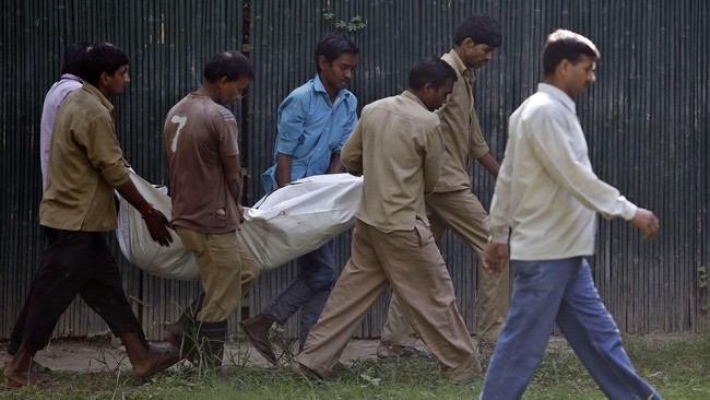 Suasana berlibur di Kebun Binatang New Delhi seketika berubah mencekam ketika seorang pelajar yang nekat melompati pagar pembatas tewas diterkam harimau putih.