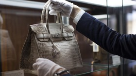 Hermes Klaim Birkin Buaya Dibuat Sesuai Aturan Internasional