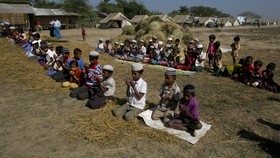 Islamofobia, Penyebab Sentimen Anti-Rohingya