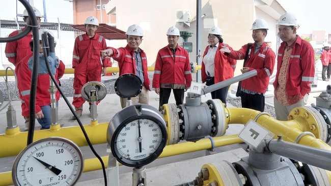 Direktur EBT Pertamina Yenni Andayani menyebut jika tidak cepat membangun infrastruktur LNG, maka kontrak-kontrak impor gas potensial bisa direbut negara lain.
