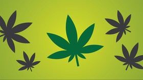 Artis RN Ditangkap, Polisi Sita Barang Bukti Ganja