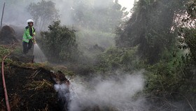 KLHK Bahas Kejahatan Lingkungan Bersama KPK