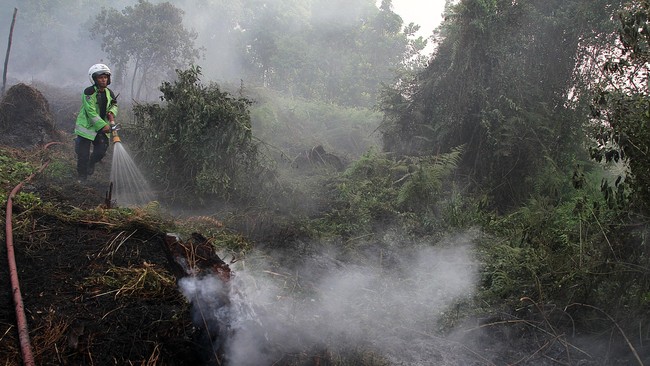 Berdasarkan pantauan satelis Modis pada Minggu (26/7) jumlah hot spot di Sumatera bertambah menjadi 308 titik akibat menguatnya badai El Nino.