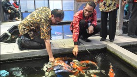 2016, Biaya Uji dan Registrasi Pakan Ikan Mandiri Gratis
