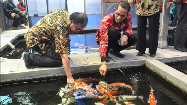 Pemerintah mengalokasikan Rp120 miliar untuk mendukung program budidaya ikan pad atahun depan, termasuk pakan ikan mandiri.