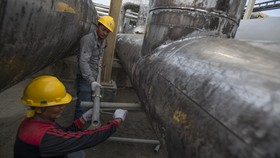 ESDM Bantah Pengembangan Masela Molor Akibat Harga Minyak