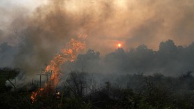 Pemerintah Siapkan Hujan Buatan Atasi Kebakaran Lahan