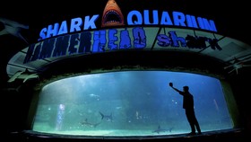 Aset Dikembalikan ke Jaya Ancol, Sengketa Sea World Berakhir