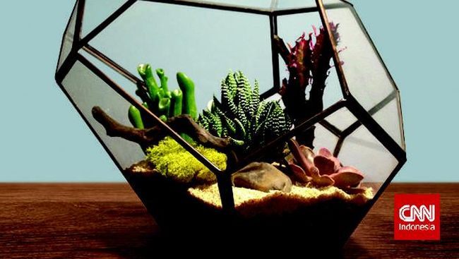Banyak manfaat yang bisa didapat dari berkebun. Namun lahan yang semakin sempit di ibukota membuat kita kian menjauh dari aktivitas ini.