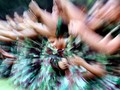TNI Konfirmasi Video Viral Tentara Jadi Sopir Warga Sipil
