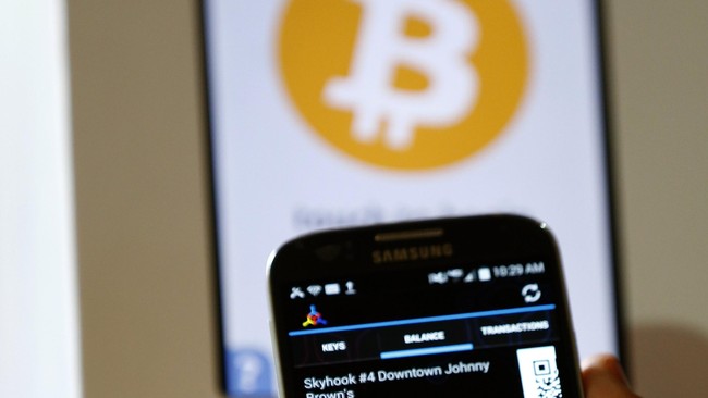 Ia diterima oleh pengguna internet dan toko online besar dunia. Namun, bank sentral di berbagai negara menolaknya sebagai alat bayar karena terlalu berisiko.