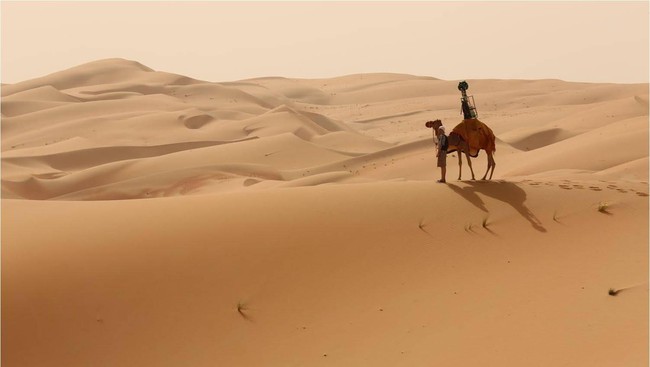 Tak semua wilayah Uni Emirat Arab bisa dilalui kendaraan bermobil. Ini yang akhirnya membuat Google untuk memakai Unta.