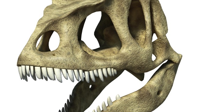 Penemuan dua spesimen baru melengkapi fosil Deinocheirus yang memiliki tubuh mirip burung unta, berjalan bungkuk, berparuh, dan memiliki lengan yang panjang.