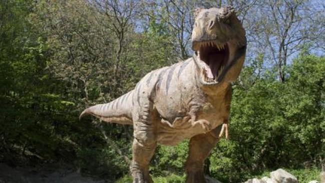 Ada teori baru. Kepunahan dinosaurus sebetulnya diawali oleh letusan gunung berapi yang sangat dahsyat sebelum disempurnakan hantaman asteroid.