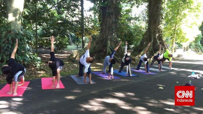 Ada suasana berbeda saat beryoga di tengah Kebun Raya Bogor. Nuansanya akrab, dan jauh lebih segar. Masyarakat Jakarta pun menyerbunya.