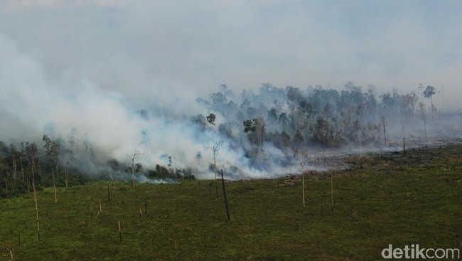 Pada 2015, pemerintah berencana untuk mengembangkan Masyarakat Peduli Api di sembilan provinsi rawan kebakaran untuk cegah kebakaran hutan dan kabut asap.