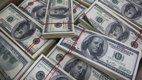 Polisi Bekuk 8 Pengedar Dollar Palsu Senilai Rp4,2 Miliar