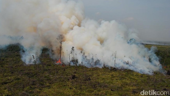 Kondisi paling parah akibat hutan dibakar terjadi di Riau setelah sejumlah daerah hanya memiliki jarak pandang 1 km dan 3 km karena asap.