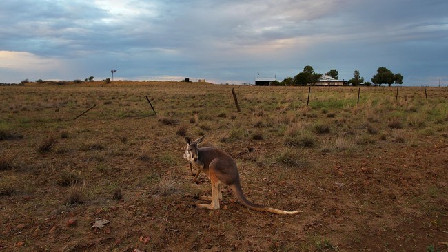 Australia diprediksi menjadi lokasi yang akan mengalami peningkatan suhu lebih dari 5 derajat Celcius di akhir abad ini, mengalahkan wilayah lain di dunia.