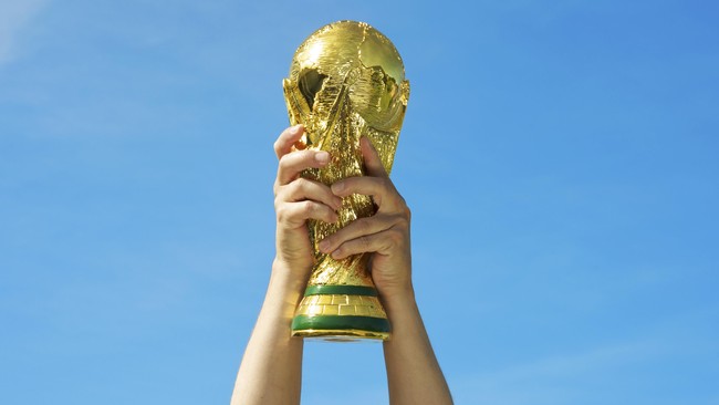 FIFA sudah mencium ketidakberesan dalam penunjukkan Afrika Selatan sebagai tuan rumah Piala Dunia 2010 dua pekan sebelum penetapannya sebagai penyelenggara.