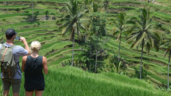 Penjabat (Pj) Gubernur Bali Sang Made Mahendra mau menata lagi perizinan pembangunan vila di Bali seiring masifnya alih kegunaan lahan.