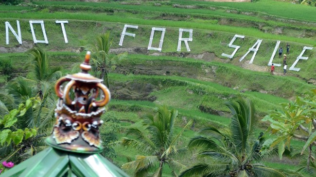 PT Mitra Aneka Rezeki (MAR) terindikasi melakukan alih fungsi hutan lindung secara ilegal demi kepentingan bisnis perusahaan.