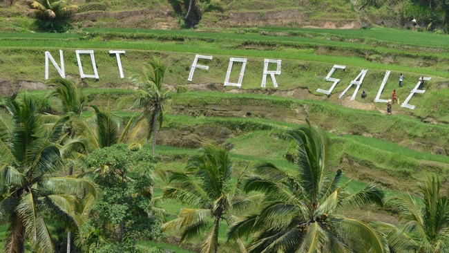 Mengeksploitasi Hutan Untuk Meningkatkan Bauran Energi