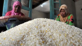 Praktik Oligopoli Membuat Harga Beras Rawan Dipermainkan