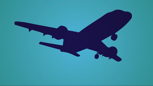 Airlines asal China buat banyak orang bingung dengan pilihan menu "makanan anjing impor" bagi penumpang kelas bisnis mereka. 