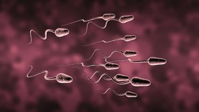 Pria Diseleksia dan Autis Dilarang Donor Sperma di Inggris