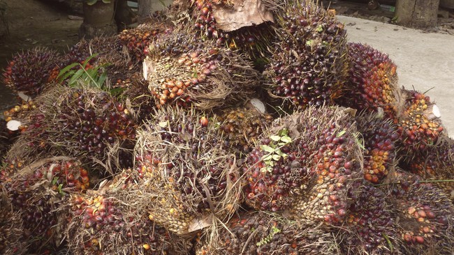 Indonesia merupakan salah satu pemasok minyak kelapa sawit besar, sehingga pemerintah perlu menyelesaikan hambatan perdagangan komoditas tersebut.