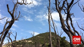 Pascakebakaran, Gunung Papandayan Aman Dikunjungi