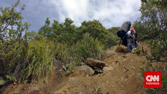 Warga Garut Hilang Kontak usai Pamit Mendaki Gunung Haruman