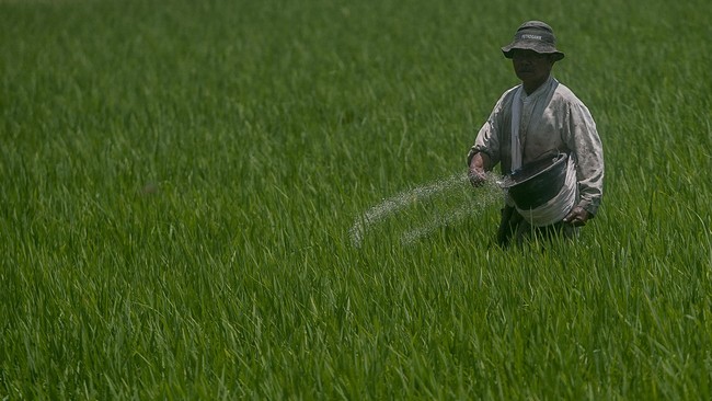 Pemerintah menargetkan swasembada pangan beras, kedelai, dan jagung bisa tercapai dalam tiga tahun.