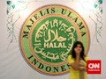 MUI Minta Pemerintah Bantu Sertifikasi Produk Halal UMKM