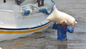 Perjuangkan Hak Petani, Menteri Susi akan Stop Impor Garam