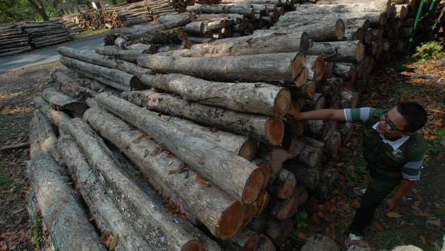 Perusahaan pemegang SVLK tidak perlu memulai proses sertifikasi FSC dari nol karena telah mengerti standar dalam melakukan bisnis manajemen hutan yang baik.