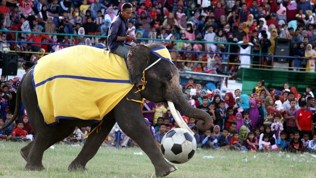 Komisi Disiplin harus bergerak cepat menyelidiki dan memutuskan hukuman apa yang harus diterima kedua klub lantaran berpesta gol bunuh diri.