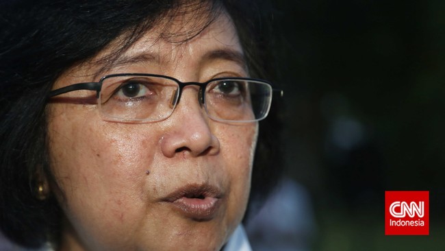 Menteri Siti mengaku belum bisa memberitahu letak spesifik pembakaran terjadi. Yang jelas, tutur dia, titik-titik pembakaran lahan bisa terlihat dari udara.