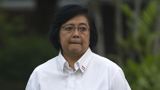Kementerian Lingkungan Hidup dan Kehutanan  menyatakan PT Andika Permata Sawit Lestari diduga melakukan pembakaran lahan di Riau.