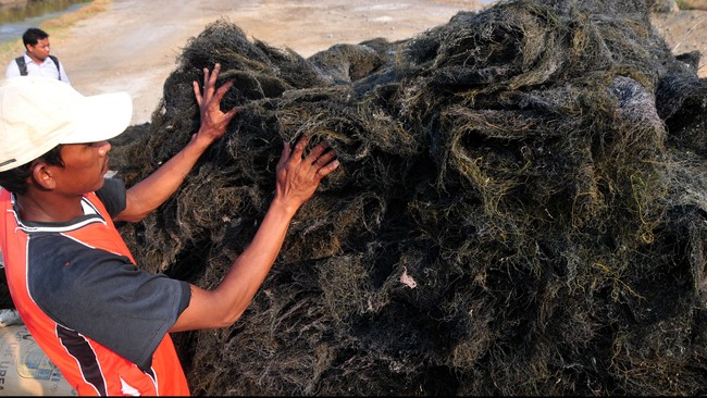 Asosiasi Rumput Laut Indonesia (ARLI) menolak penetapan bea keluar bagi komoditas rumput laut kering karena akan melemahkan produktivitas nasional.