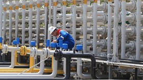 Pertamina EP Sukses Tembus Taget Produksi Lapangan Poleng
