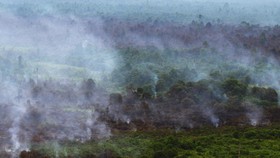 Kisah Petani Tumbal Korporasi dan Mantra Penjaga Api