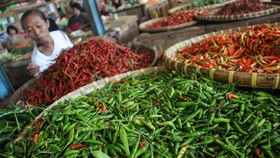 Redam Inflasi Akibat BBM, Pemerintah Jaga Distribusi Sembako