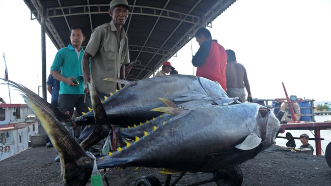 Menteri Kelautan dan Perikanan Susi Pudjiastuti memastikan tidak ada negara lain di dunia ini yang memperbolehkan alih muatan di tengah laut.